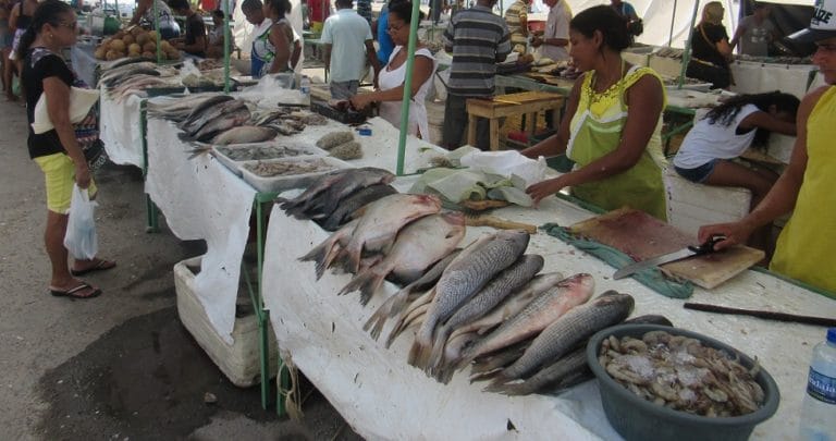 Procura por pescado ainda é pequena na ‘Feira Extra’