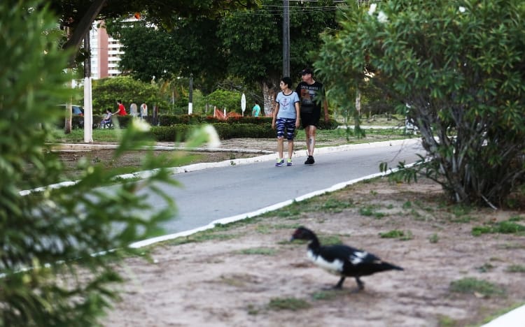 Sementeira é local de práticas saudáveis e contato com natureza