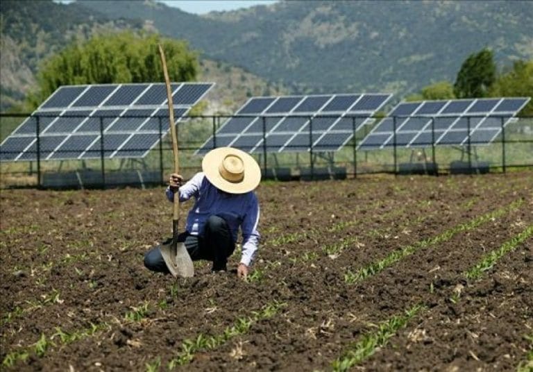 Agricultura familiar tem linha de crédito para energia solar