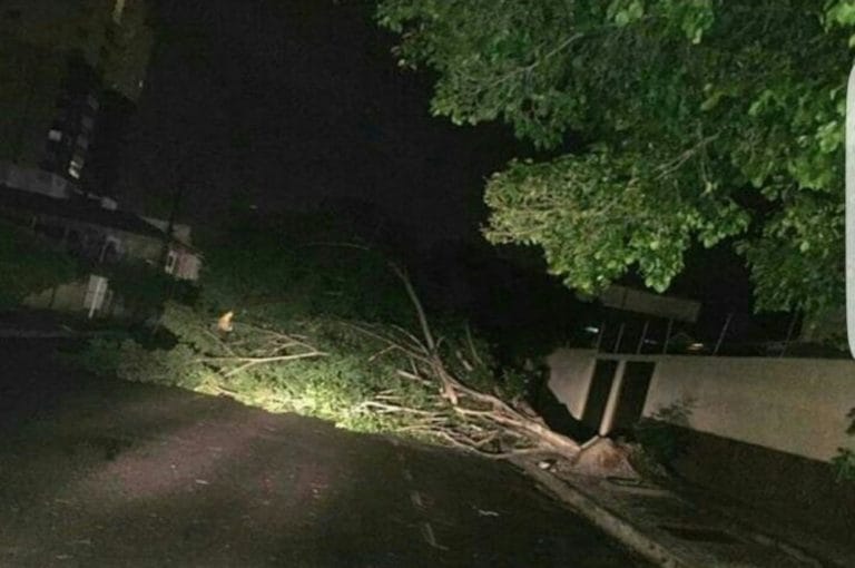 Ventania destelha casas e derruba muro e árvores