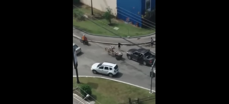 Arrombamento de carro termina em espancamento no Jardins