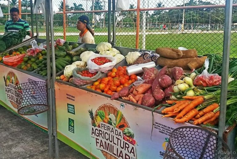 Feira de produtos orgânicos é realizada na Sementeira