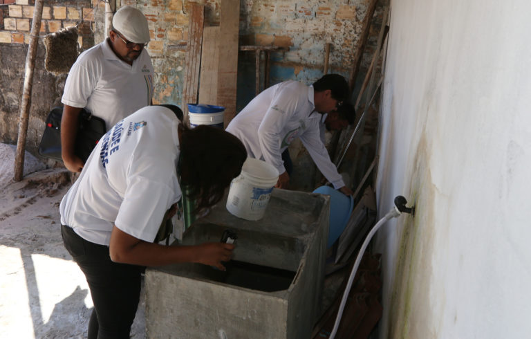 População deve ajudar no combate ao Aedes aegypti