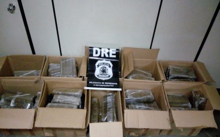PF apreende 300 kg de maconha na BR-101 em Estância