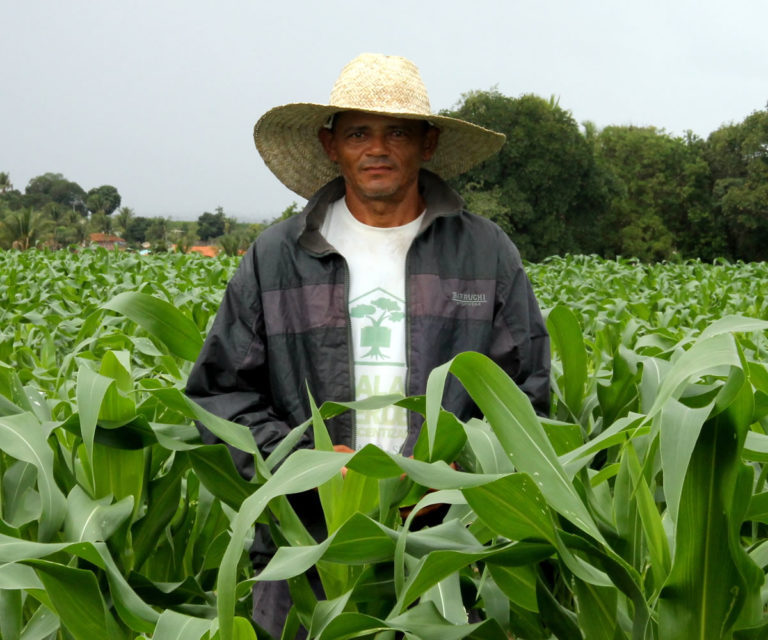 Agricultores podem aderir ao Garantia-Safra até o dia 27