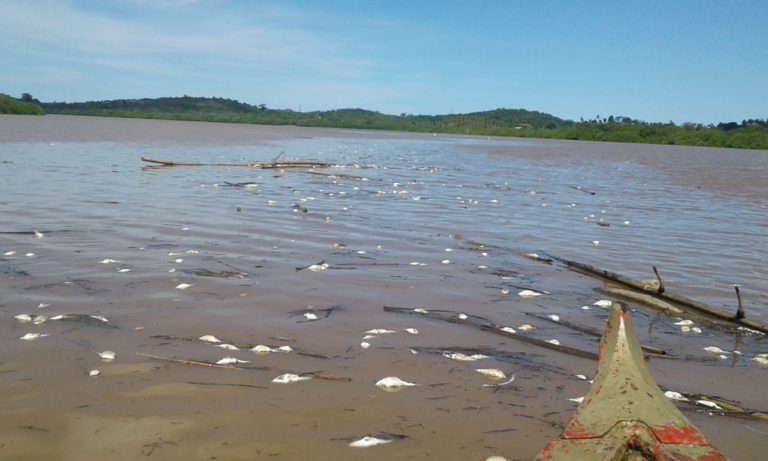 Vazamento de amônia da Fafen pode ser a causa da morte de peixes no rio Sergipe