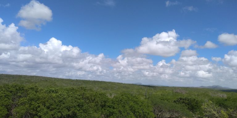 Chuva abranda situação de seca no mês de março