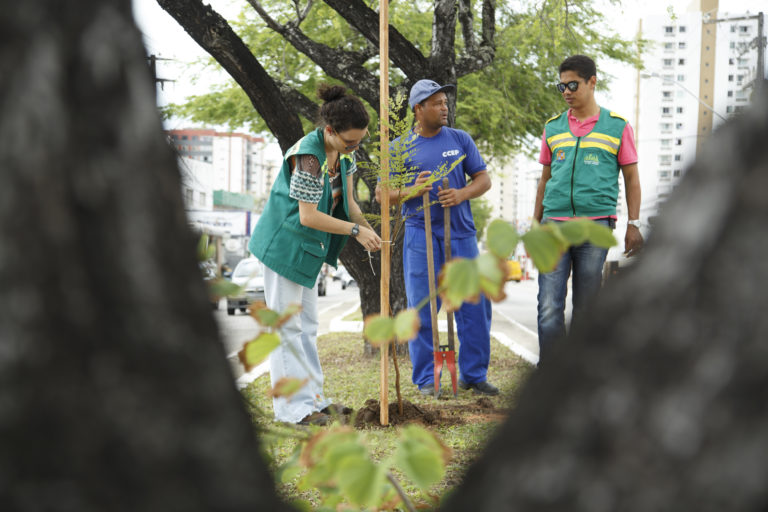 Mais de 600 mudas foram plantadas em Aracaju