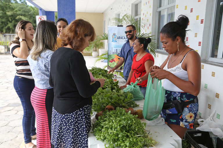Projeto incentiva famílias a cultivar hortaliças