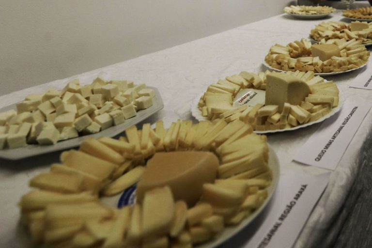 Selo beneficia produtores de queijos artesanais