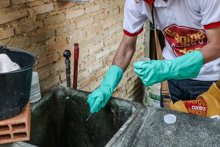 Sobe para 26 o número de municípios com alto risco de dengue