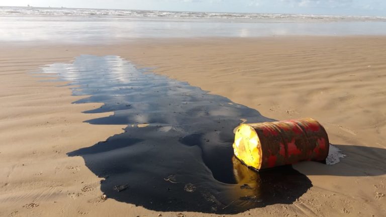 Barris de óleo são encontrados na costa sergipana