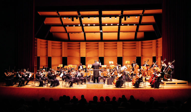 Orsse apresenta ‘Concerto às Tartarugas Marinhas’