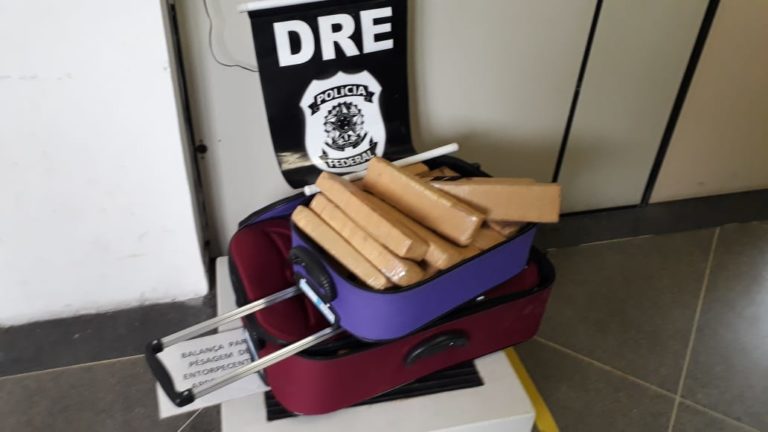 PF apreende 50 kg de maconha em ônibus