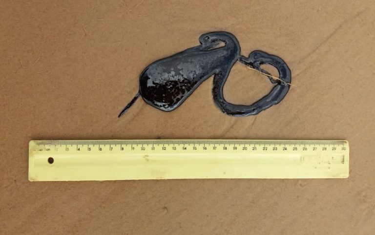 Manchas de óleo são encontradas em cinco localidades do litoral sergipano