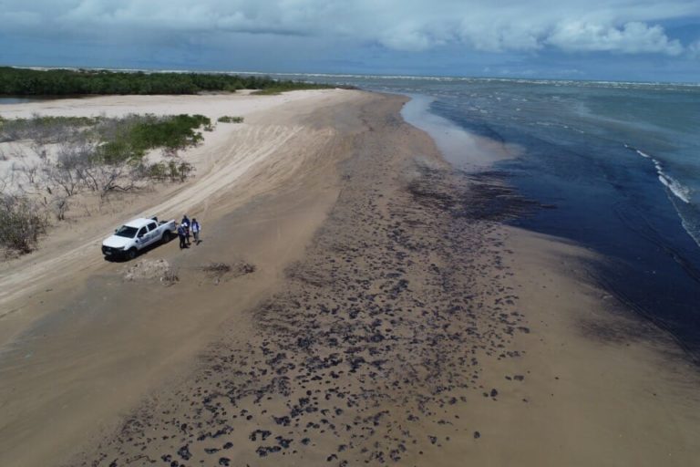 Órgãos se unem na limpeza e monitoramento das praias
