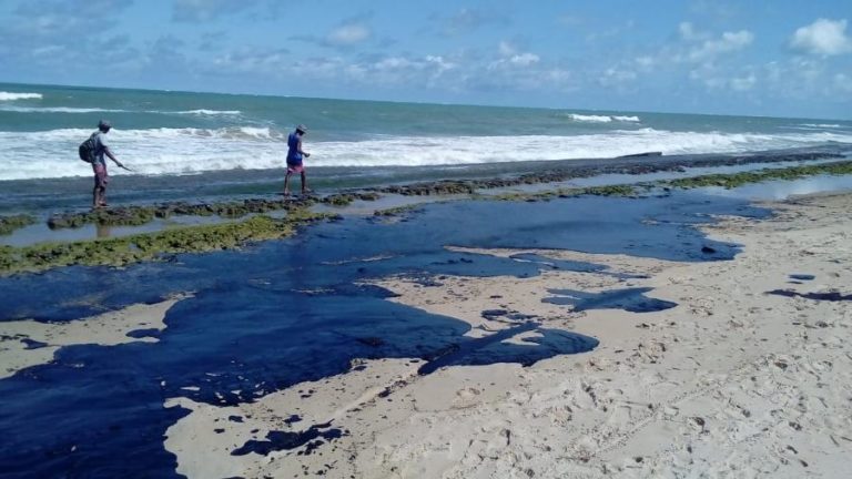 Sergipe já recolheu mais de 1.200 toneladas de óleo