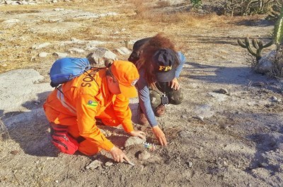 Fósseis da megafauna são localizados em Gararu