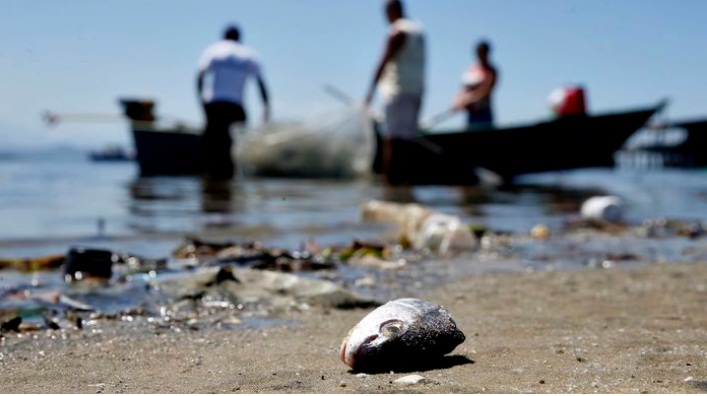 Mais de 7 mil pescadores  irão receber auxílio emergencial em Sergipe