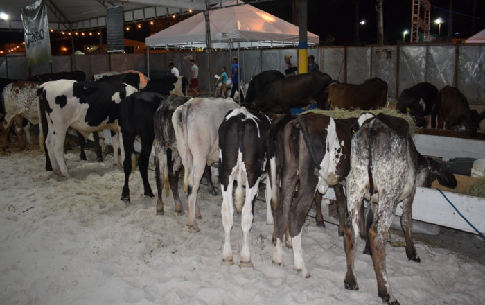 Exposição agropecuária de  movimenta economia local