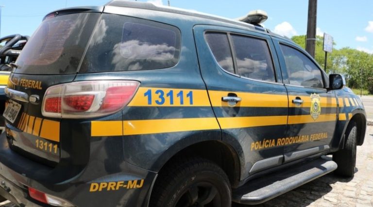 Pássaros silvestres são apreendidos pela PRF