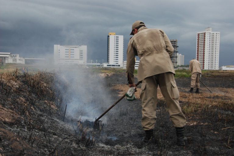 CBM combateu 136 focos de incêndio em vegetação nos últimos 16 dias