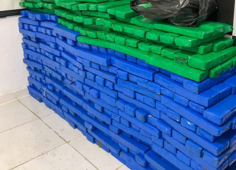DRFV apreende mais de 560 kg de maconha prensada