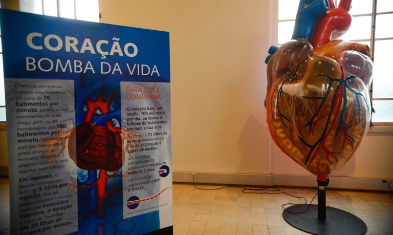 Cartórios registram aumento nas mortes por doenças cardiovasculares