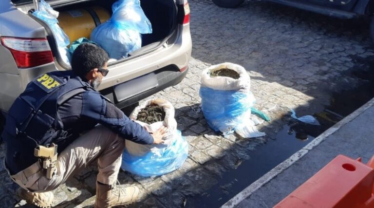 PRF apreende quase 50 quilos de maconha na BR-235