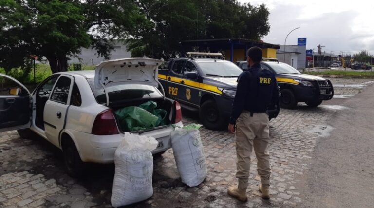 PRF apreende 40 quilos de maconha na BR-235