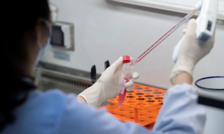 Estudo da Unicamp sugere que covid-19 pode infectar células adiposas