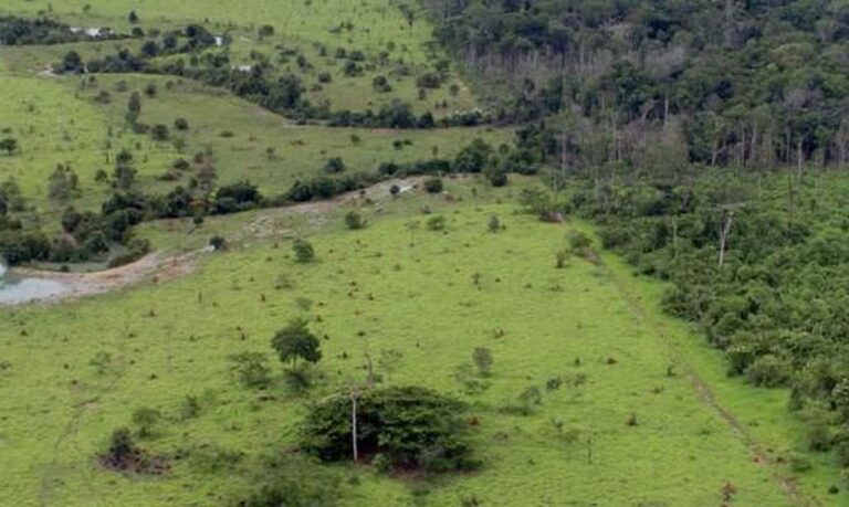 Medida provisória altera prazo para inscrição no Cadastro Ambiental Rural