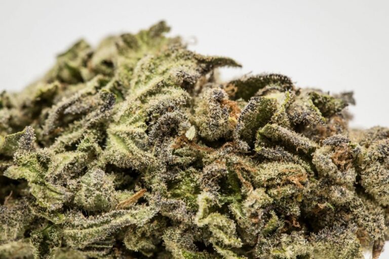 Dupla que vendia maconha tipo “skunk” morre em confronto com a PC