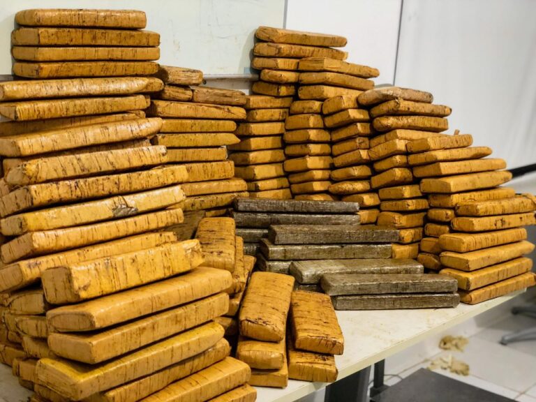Denarc prende suspeito de tráfico e apreende 175 kg de maconha
