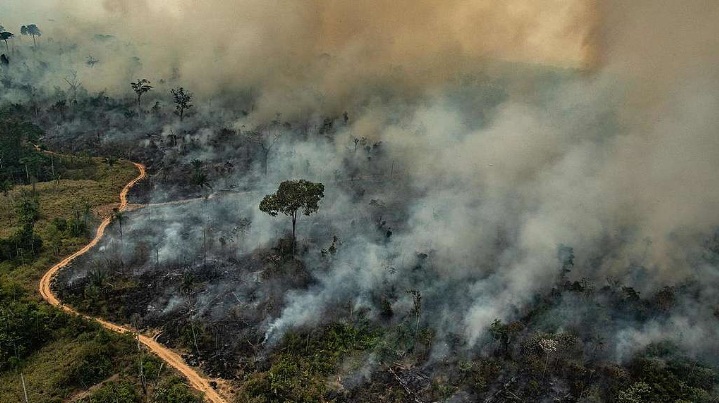 Agosto foi 2º pior mês de queimadas na Amazônia nos últimos 10 anos