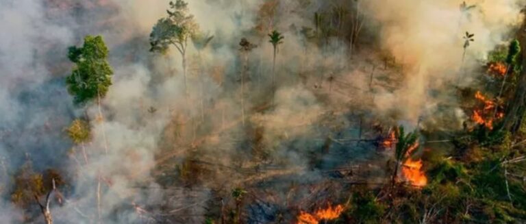 Entidades e personalidades assinam carta em defesa do Pantanal