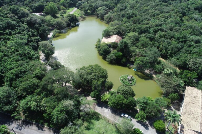 Parque da Cidade será reaberto ao público neste sábado, 5