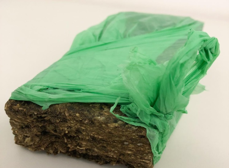 Denarc apreende drogas e prende suspeito em Socorro