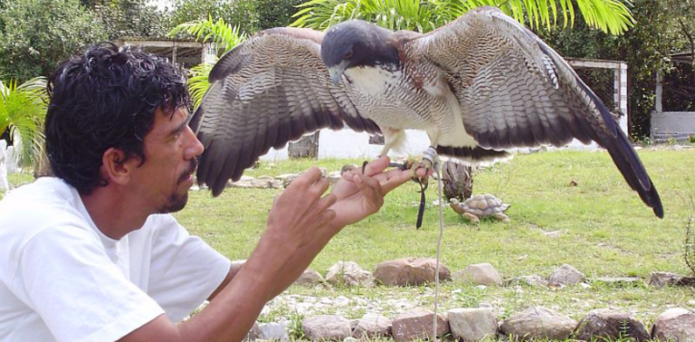 Parque dos Falcões é reconhecido como Patrimônio Cultural Imaterial de Sergipe
