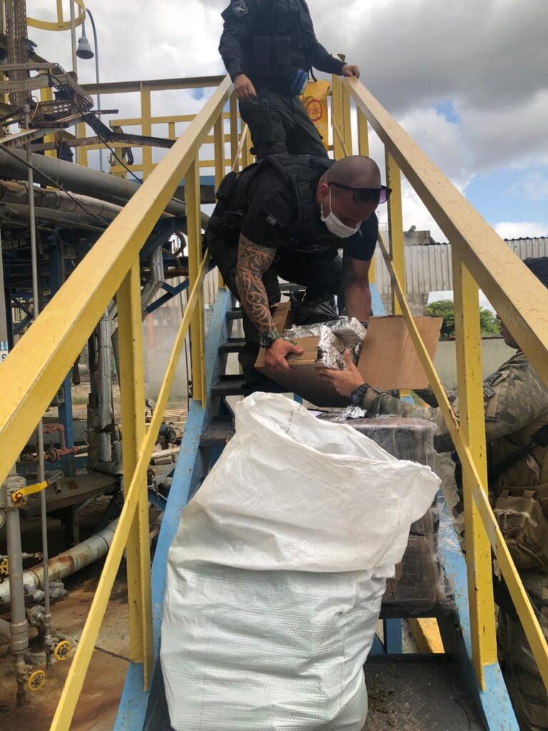 Polícia Civil incinera mais de 1.300 quilos de drogas