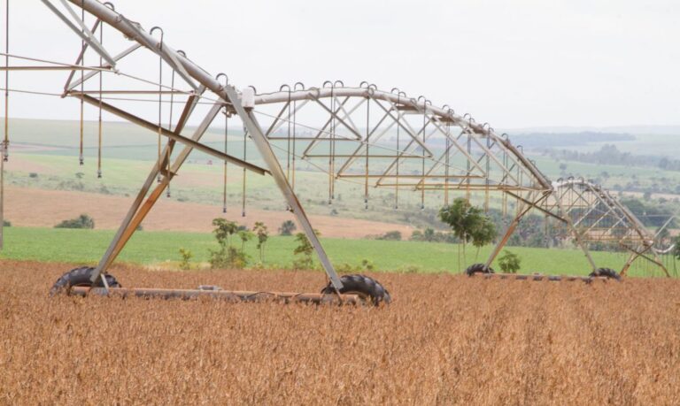 Safra agrícola alcança valor de produção recorde de R$ 361 bi