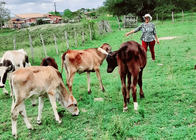 Banco do Nordeste investe R$ 2,3 bi no Agroamigo em 2020
