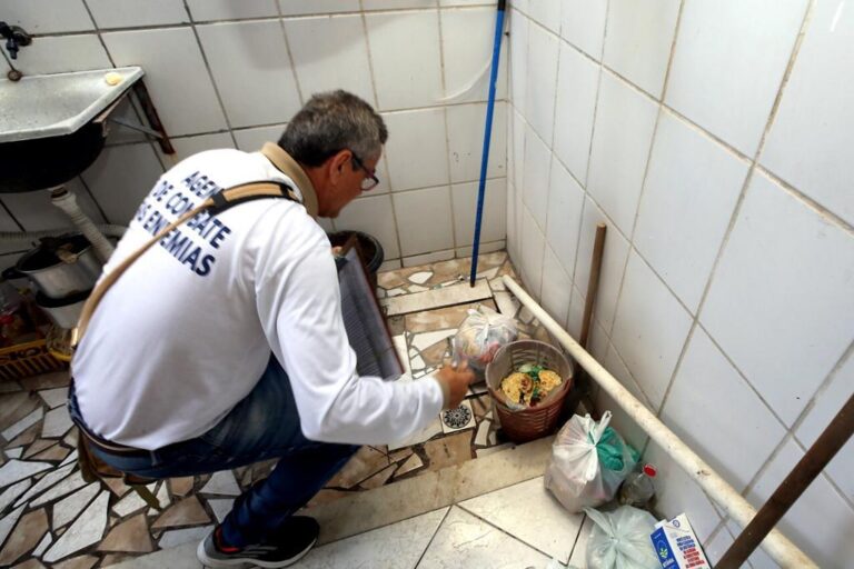 Mutirão de combate ao Aedes aegypti acontece no Santos Dumont