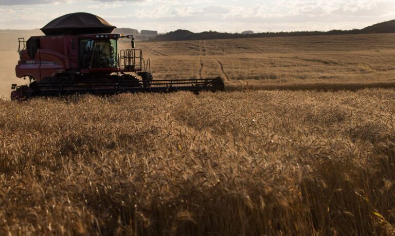 Ipea prevê menor crescimento do agronegócio em 2021