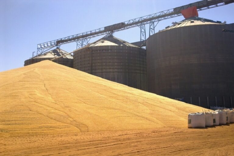 Capacidade de armazenagem agrícola em Sergipe fica em 90,5 mil toneladas no 1º semestre de 2020