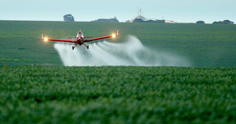 Um terço dos estabelecimentos agrícolas declara usar agrotóxicos na lavoura