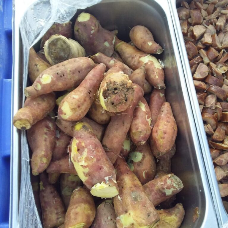 Policiais penais que atuam no Copemcan estão recebendo alimentação estragada, afirma Sindicato 