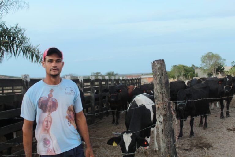 Programas de inseminação artificial beneficiam produtores de leite