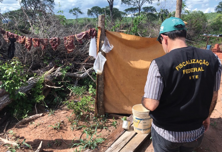 Cinco pessoas são resgatadas de trabalho análogo à escravidão na Bahia