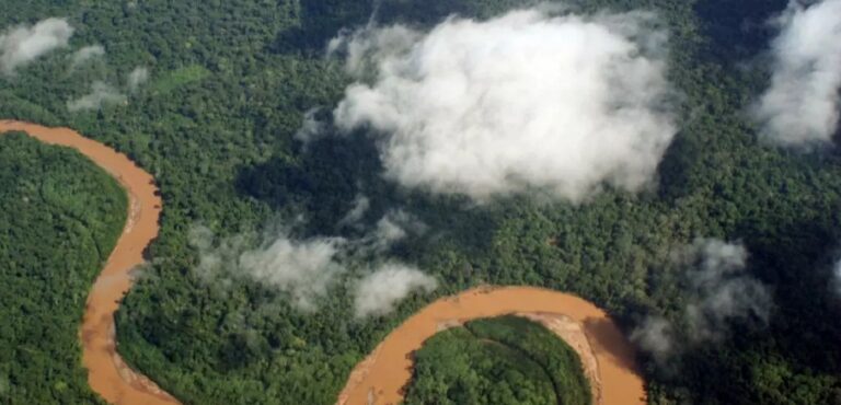 Reino Unido pode se juntar ao Fundo Amazônia, diz ministra britânica